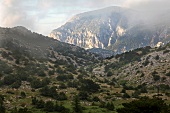 Türkei, Türkische Ägäis, Spil Dagi, Nationalpark, Berg