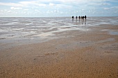 People walking on sand at Fano beach, Denmark