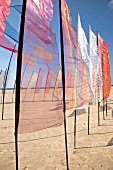 Multi coloured flags at kite festivals at Fano beach, Denmark