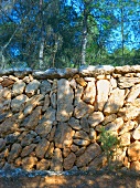Insel Ibiza, Wald, Mauer, Natur, Einsamkeit