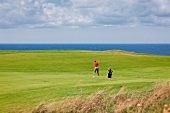 Man playing golf in Golf Course, Cape Breton island, Nova Scotia, Canada