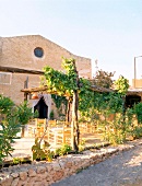 Restaurant Sa Capella, Insel Ibiza, Terrasse, Eingang