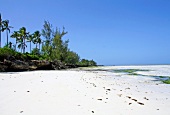 Beach of Zanzibar, Tanzania, East Africa