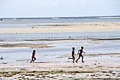 Women on beach in Zanzibar Island, Tanzania, East Africa