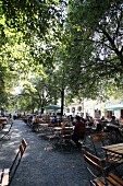 Hofgarten Park in München Bayern