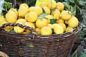 Close-up of basket of lemons in market