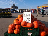 Market stall with pumpkins, Spiekeroog, Neuharlingersiel