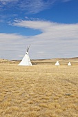 View of white tents at grassland in National Park, Saskatchewan, Canada