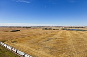 View of cornfield from Parrish granary on Highway 2, Saskatchewan, Canada