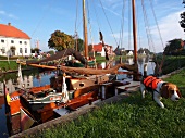 Boats moored in port of Carolinensiel, Spiekeroog, Lower Saxony, Germany