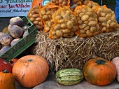 Fresh vegetables in market, Spiekeroog, Lower Saxony