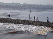 People at Wadden Sea with low tide, Spiekeroog, Lower Saxony, Germany
