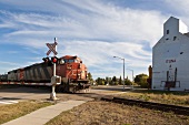 View of train crossing Ituna railroad, Saskatchewan, Canada