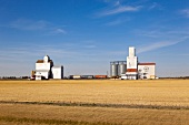 View of grain storage and loading station in Saskatchewan, Canada