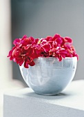 Flower vase with red zinnias
