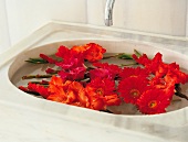 Vasenspaß, Gerbera und Lilien im Waschbecken, orange, rot