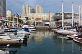 View of boats at harbor and city, Toronto, Canada