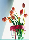Vasenspaß, Tulpen in orange stehen dekorativ in einer Glasvase