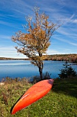 Kanada, Nova Scotia, Herbstwald bei der Prospect Road, Whites Lake