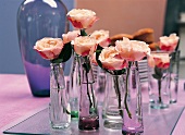 Vasenspaß, pink roses in small bottles, glass bottles
