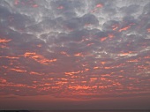 View of Wadden sea at sunset, Neuharlingersiel, Lower Saxony, Germany