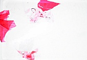 Red and pink origami on white background, copy space