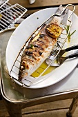 Grilled sea bass with lemon on plate