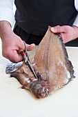 Cutting witch flounder with scissors for preparation of witch flounder with chives sauce