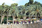 View of palms and cafe at Park Guell in Barcelona, Spain