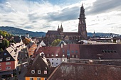 Blick auf Freiburg im Breisgau, mit Münster