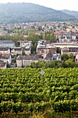 View of cityscape from Schlossberg, Freiburg, Germany