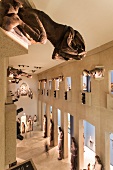 View of figures of prophets in Sculpture Hall at Augustiner Museum, Freiburg, Germany