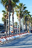 Barcelona, Port Olympic Promenade Fahrradverleih, bicing