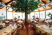 Gartenrestaurant Restaurant im Hotel Travel Charme Bernstein Prerow