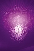 Illuminated styxs coral chandelier on purple background