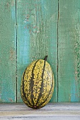 Spaghetti squash in front of wooden wall
