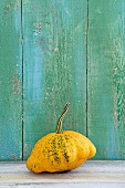 Patty pan squash in front of wooden wall