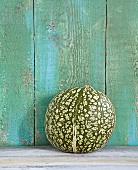 Fig leaf squash in front of wooden wall