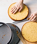 Kuchen - Mozarttorte, Step 3 : Kuchen waagerecht durchschneiden