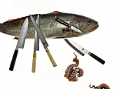 Japan-Messer, Küchenmesser 