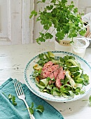 Beef steak on a bed of cucumber with avocado and coriander