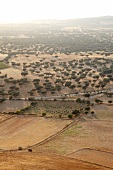 Portugal, Alentejo, bei Monsaraz