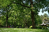 Lettland, Riga, Park am Kanal