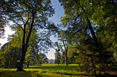 Lettland, Riga, Schloss Mesothen. Schlosspark