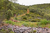 Portugal, Algarve, Wanderung durch rote Erde, Via Algarviana