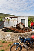 Portugal, Algarve, Wasserschöpfräder