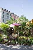 Deutschland, München, Viktualienmarkt, Blumenstand