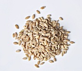 A pile of einkorn wheat (seen from above)