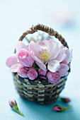 Cherry blossoms in a small basket