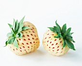 Zwei weiße Erdbeeren (Ananas-Erdbeere)
